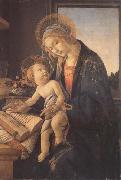 Sandro Botticelli Madonna and child or Madonna of the book Germany oil painting artist